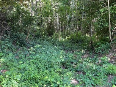 One of the last great golf course frontage lots on Bell Hole - photo 9