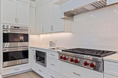 Situated minutes from downtown St. Petersburg, this beautifully - photo 20