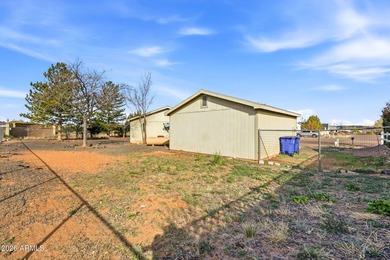 Country living In the heart of Snowflake AZ! Comfortable family - photo 25