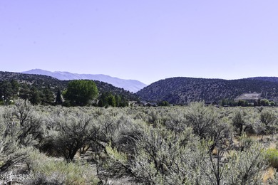 (private lake, pond, creek) Acreage For Sale in Gardnerville Nevada