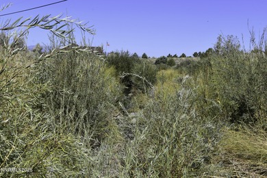 Peaceful 10.45-Acre Parcel with Pine Nut Creek flowing along the - photo 3