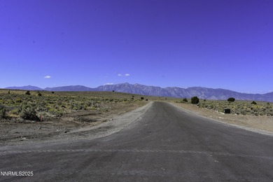 Peaceful 10.45-Acre Parcel with Pine Nut Creek flowing along the - photo 4