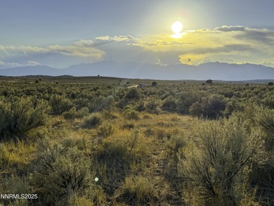 Peaceful 10.45-Acre Parcel with Pine Nut Creek flowing along the - photo 5