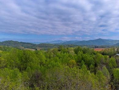 Lake Emory Acreage For Sale in Franklin North Carolina