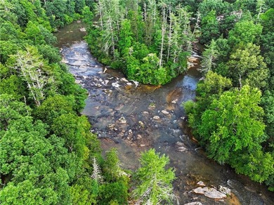 Own a staggering 800-plus feet of direct Chattahoochee River - photo 31