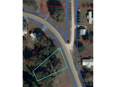 Lake Rousseau Lot For Sale in Inglis Florida