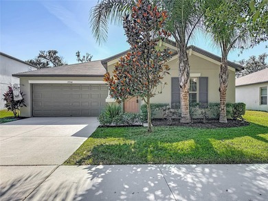 (private lake, pond, creek) Home For Sale in Zephyrhills Florida