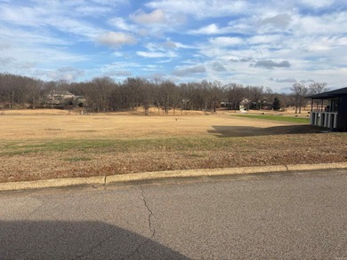 Rare opportunity to own a prime single-family building lot in - photo 7