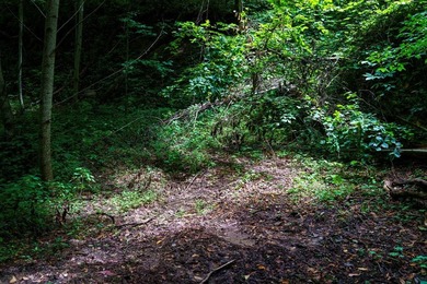Set amid the natural beauty of the Nantahala Mountains, this 1 - photo 11