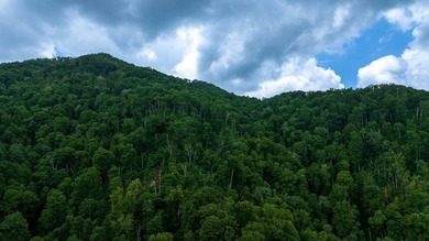 Set amid the natural beauty of the Nantahala Mountains, this 1 - photo 15