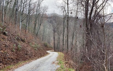 Set amid the natural beauty of the Nantahala Mountains, this 1 - photo 21