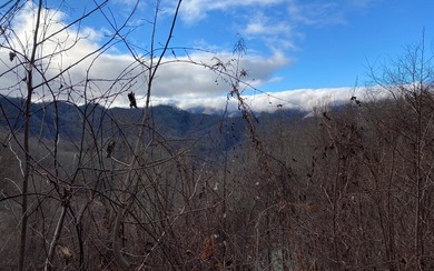 Set amid the natural beauty of the Nantahala Mountains, this 1 - photo 22