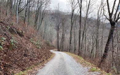 Set amid the natural beauty of the Nantahala Mountains, this 1 - photo 24