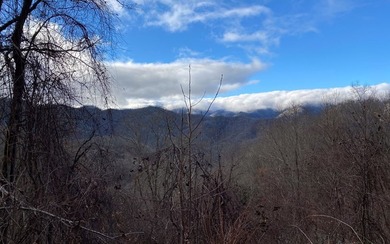Set amid the natural beauty of the Nantahala Mountains, this 1 - photo 26