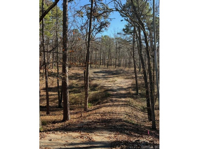 Lake Catherine Lot For Sale in Hot Springs Arkansas