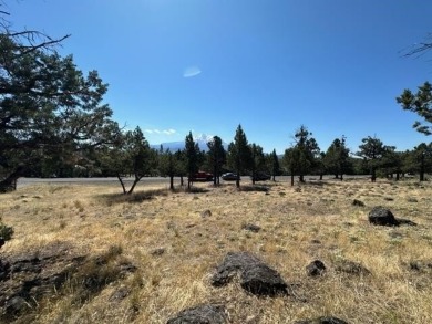 Lake Lot For Sale in Weed, California