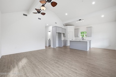 New construction in Historic Clermont Harbor near Bay St. Louis! - photo 6