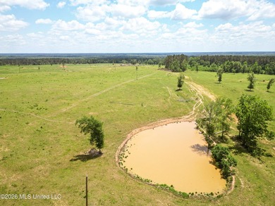 Pasture land for sale in Lincoln County, MSe check out this - photo 1