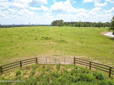 Pasture land for sale in Lincoln County, MSe check out this - photo 2