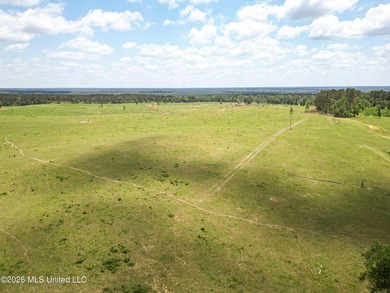 Pasture land for sale in Lincoln County, MSe check out this - photo 3