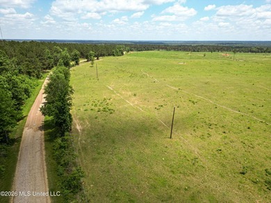 Pasture land for sale in Lincoln County, MSe check out this - photo 4