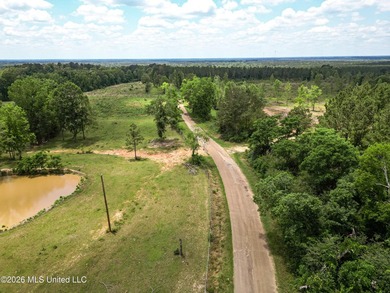 Pasture land for sale in Lincoln County, MSe check out this - photo 5