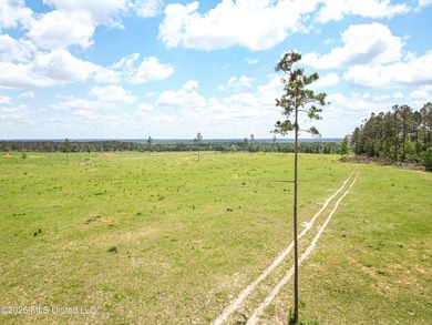 Pasture land for sale in Lincoln County, MSe check out this - photo 6