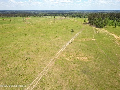 Pasture land for sale in Lincoln County, MSe check out this - photo 7