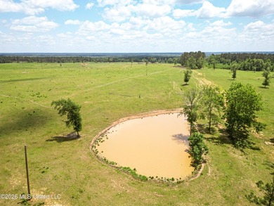 Pasture land for sale in Lincoln County, MSe check out this - photo 8