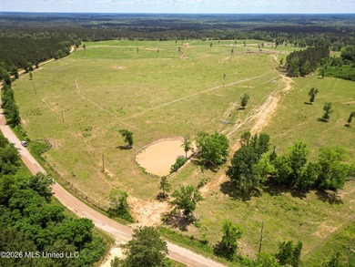Pasture land for sale in Lincoln County, MSe check out this - photo 9