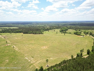 Pasture land for sale in Lincoln County, MSe check out this - photo 10