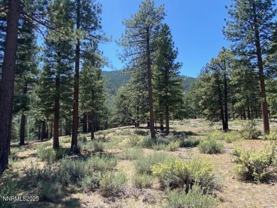 Lake Tahoe - Douglas County Lot For Sale in Carson City Nevada