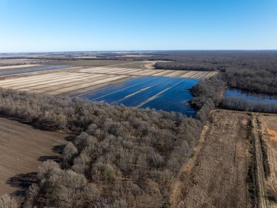 (private lake, pond, creek) Acreage For Sale in Corning Arkansas