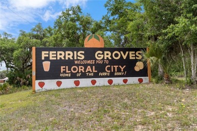 Charming 2-bedroom, 1-bath single-wide situated on a spacious 0 - photo 35