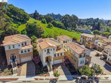 Perched in the scenic Hayward Hills, this elegant Santa Barbara - photo 50