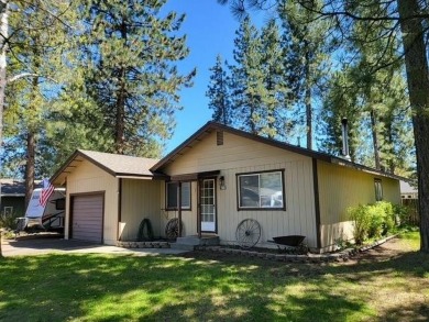 Lake Home For Sale in Chester, California