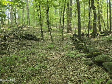 Location, Privacy, and Stonewalls all in one! Discover a rare - photo 4