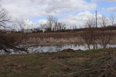 Lake Home For Sale in Frankfort, Ohio