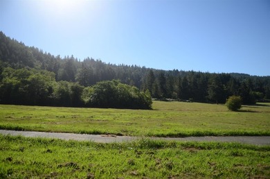 Beautiful lot w/secluded privacy and Del Norte Golf Course - photo 4