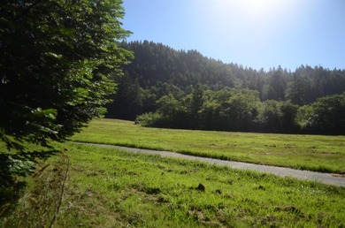 Beautiful lot w/secluded privacy and Del Norte Golf Course - photo 6