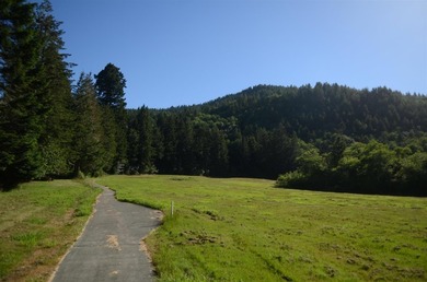 Beautiful lot w/secluded privacy and Del Norte Golf Course - photo 7