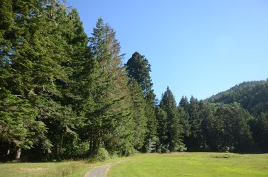 Beautiful lot w/secluded privacy and Del Norte Golf Course - photo 8