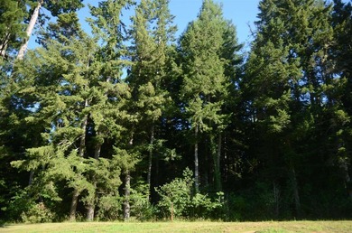 Beautiful lot w/secluded privacy and Del Norte Golf Course - photo 10