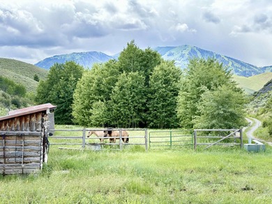 Lake Acreage For Sale in Sun Valley, Idaho
