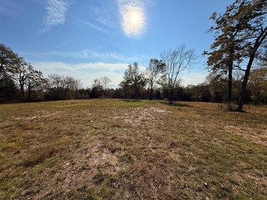 Prime 5.66-Acre Tract on US Highway 175 in Eustace - A Rare - photo 2