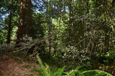 Rare and beautiful subdivision lot w/secluded privacy and Del - photo 3