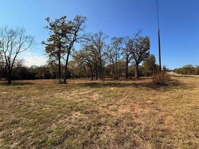 Prime 5.66-Acre Tract on US Highway 175 in Eustace - A Rare - photo 3
