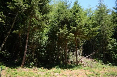 Rare and beautiful subdivision lot w/secluded privacy and Del - photo 4