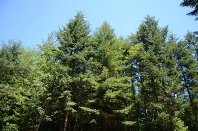 Smith River Lot For Sale in Crescent City California