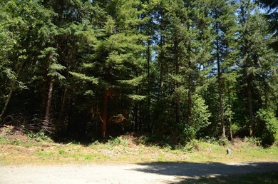 Rare and beautiful subdivision lot w/secluded privacy and Del - photo 2